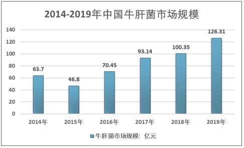 2021 2027年中国牛肝菌行业市场经营管理及投资前景规划报告